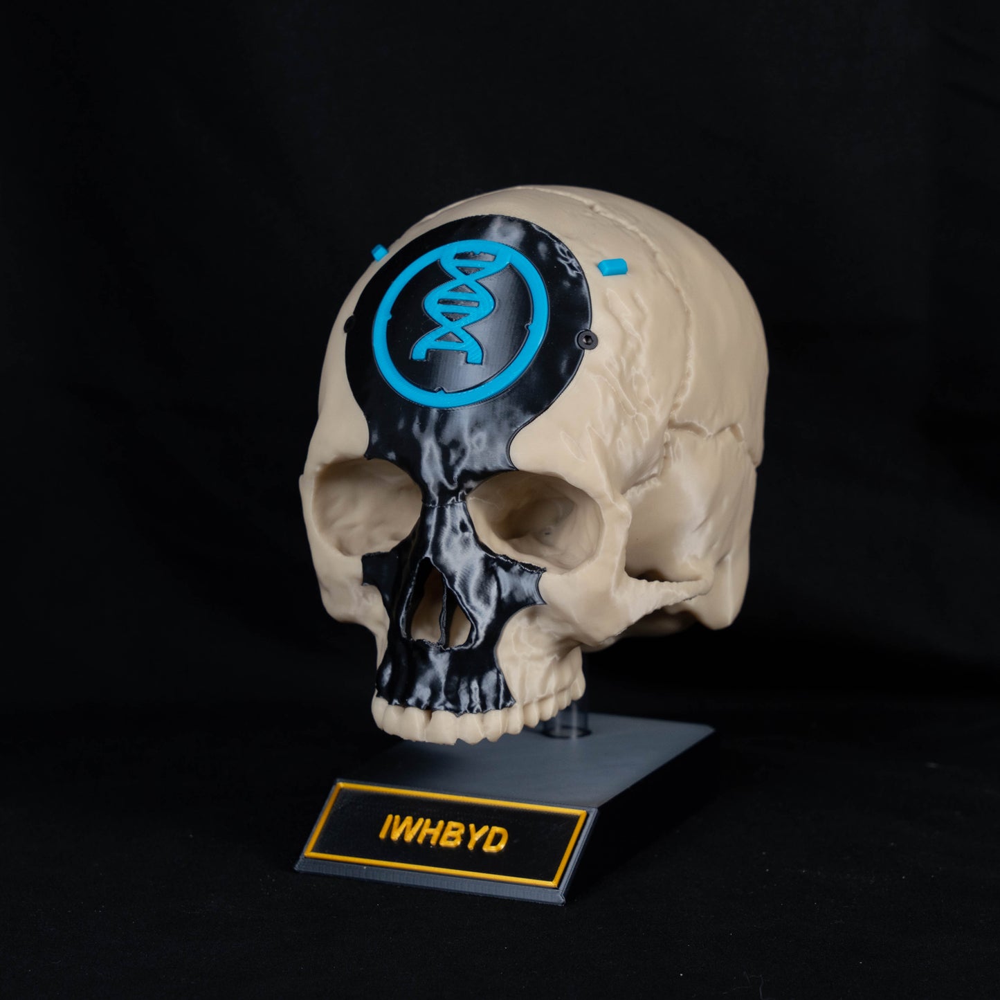 Halo-Infinite Campaign Skull 3D Printed Prop Replica