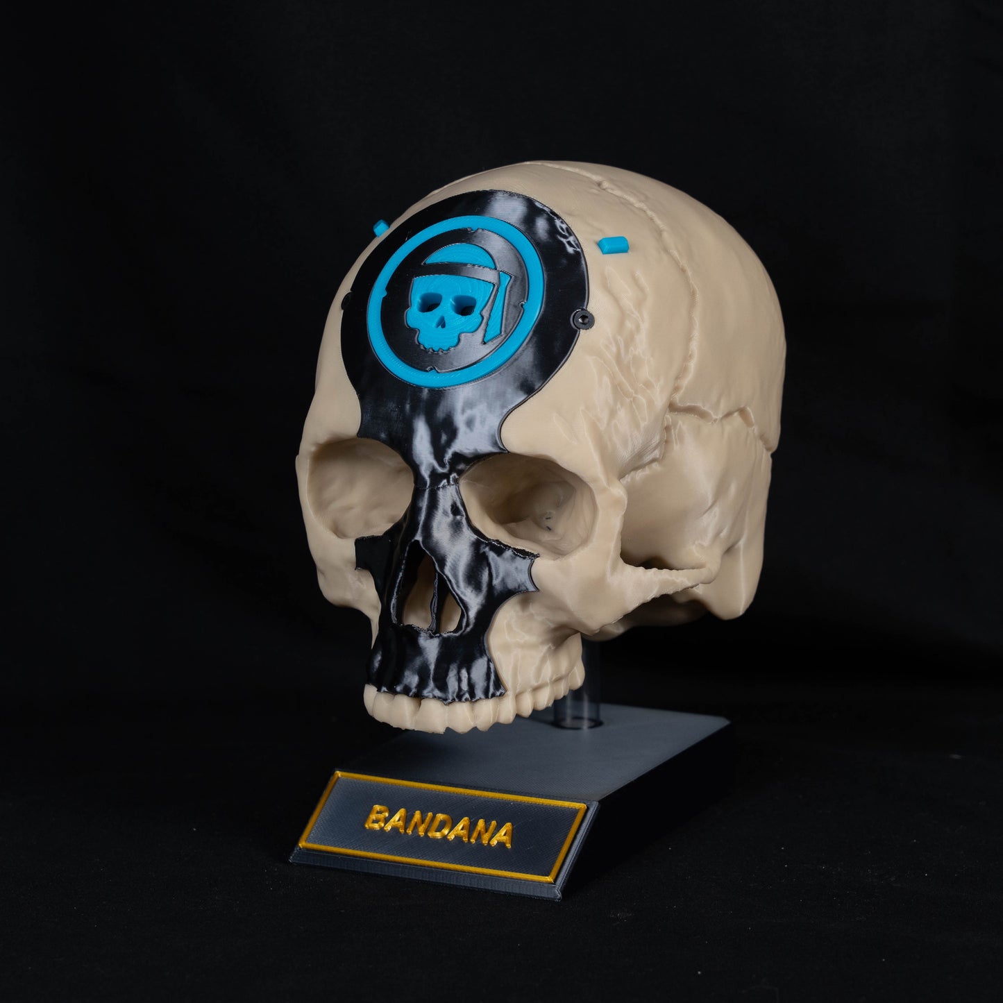 Halo-Infinite Campaign Skull 3D Printed Prop Replica